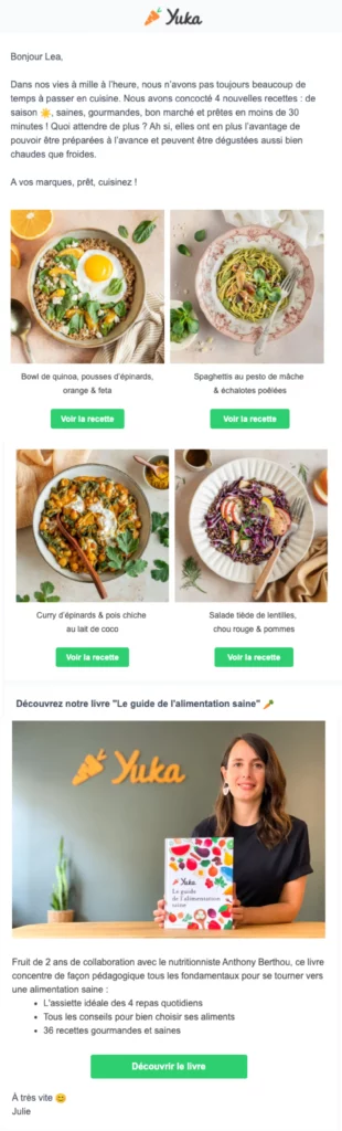modele-newsletter
